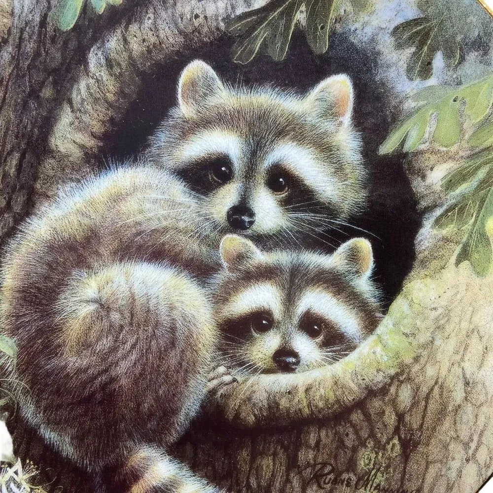 Raccoon Decorative Plate Hamilton Collection Hallow Hideaway '94 Woodland Babies